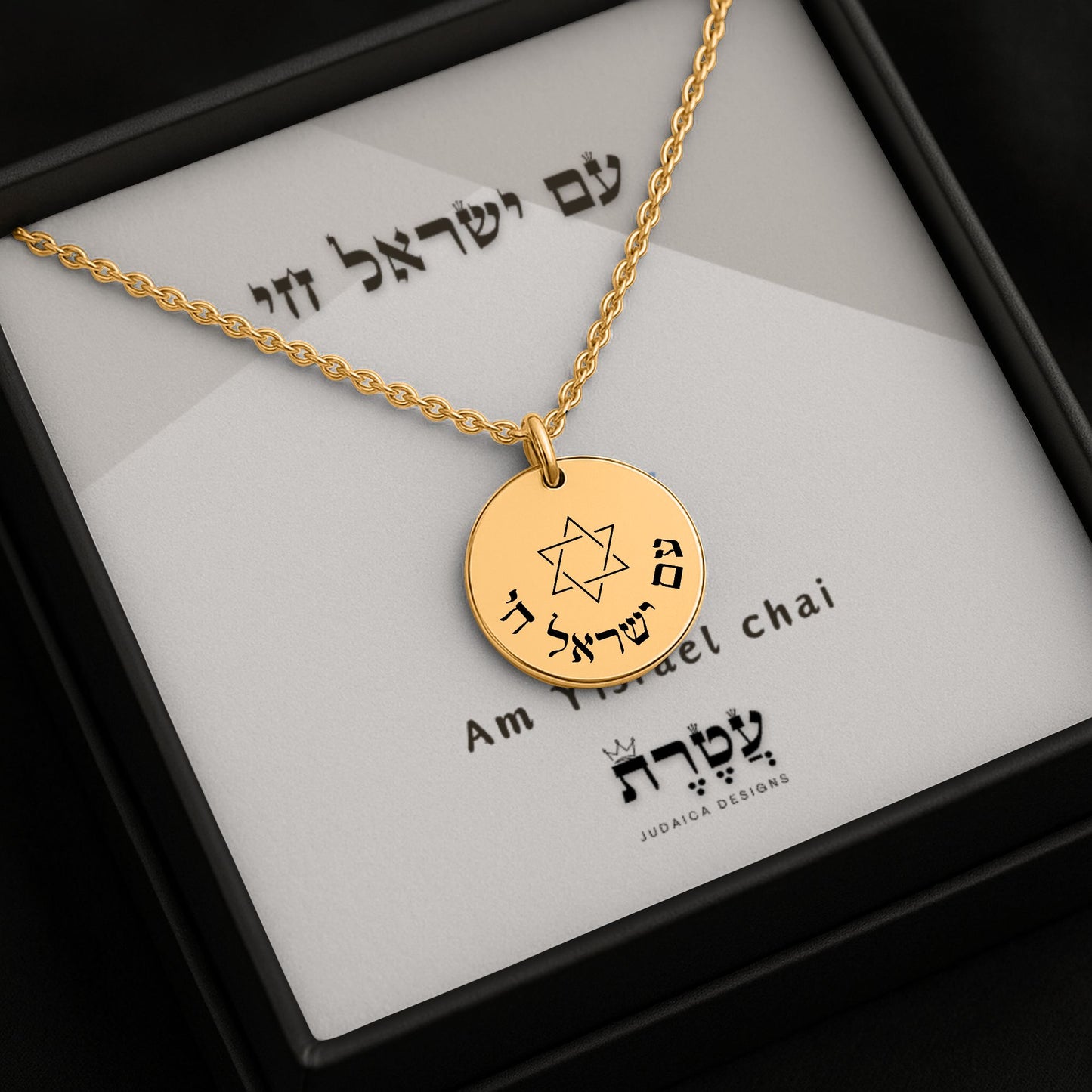 “Am Yisrael Chai” Fine Links Coin Necklace